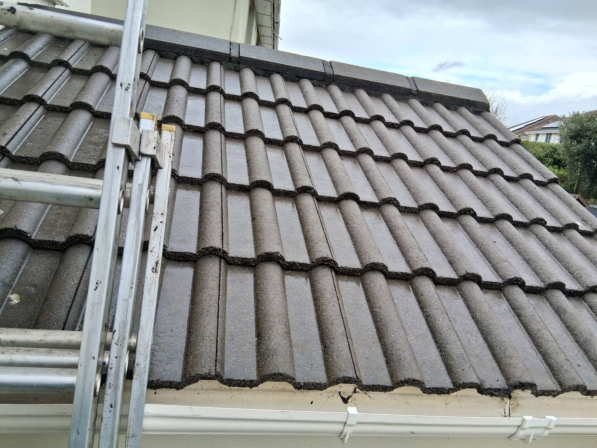 Roof Cleaning