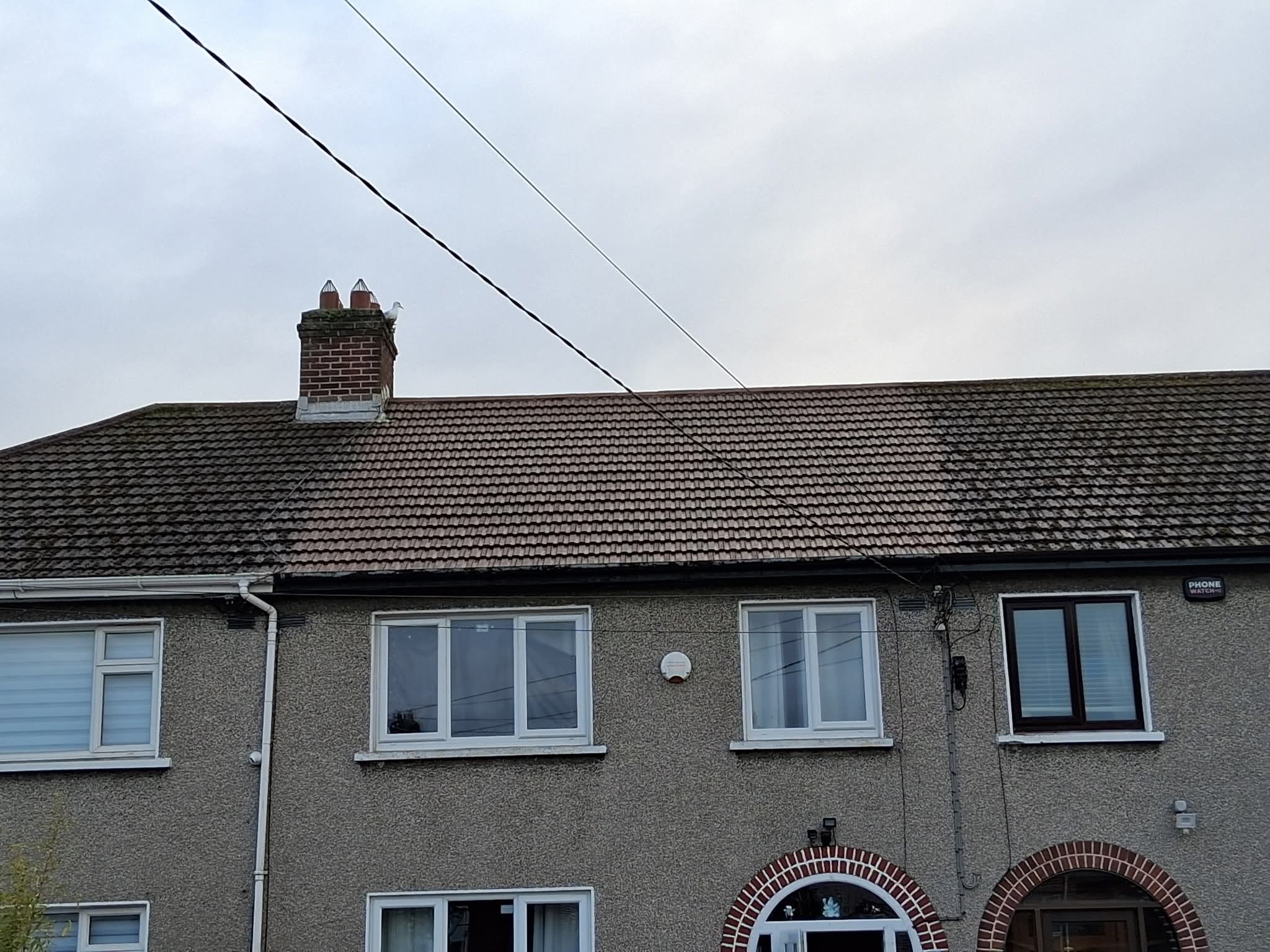Property Maintenance